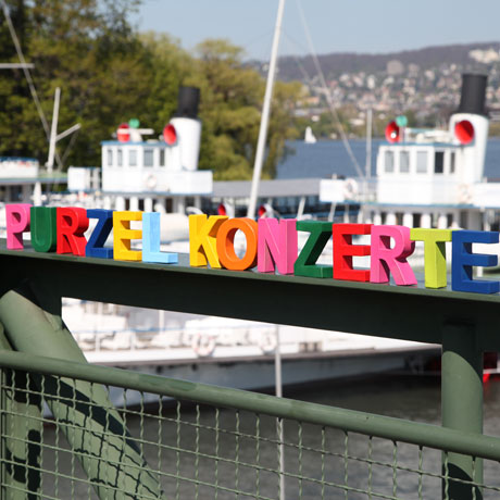 Purzel-Konzert