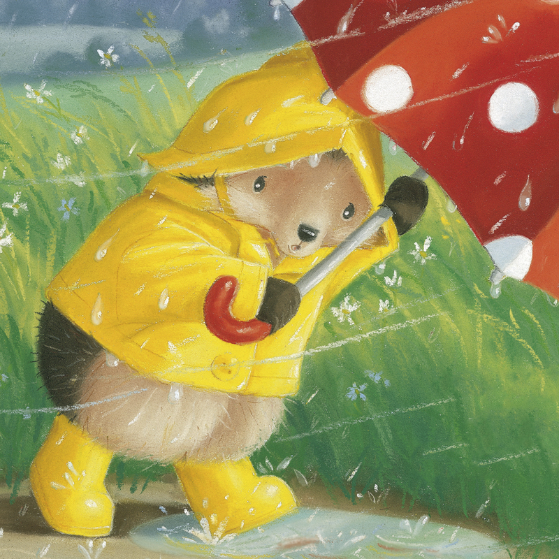 Der kleine Igel rettet seine Freunde (c) Tina Macnaughton, Brunnen Verlag GmbH
