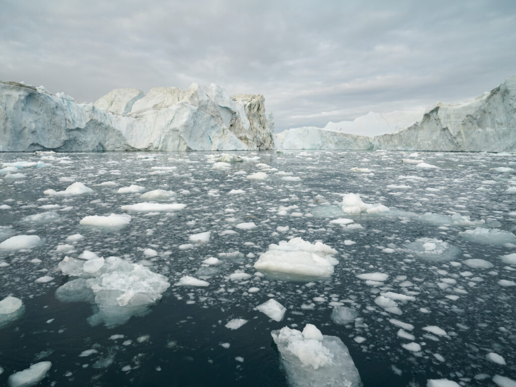 The Scent of Ice_Max Roth-Jonas Kuhn_2