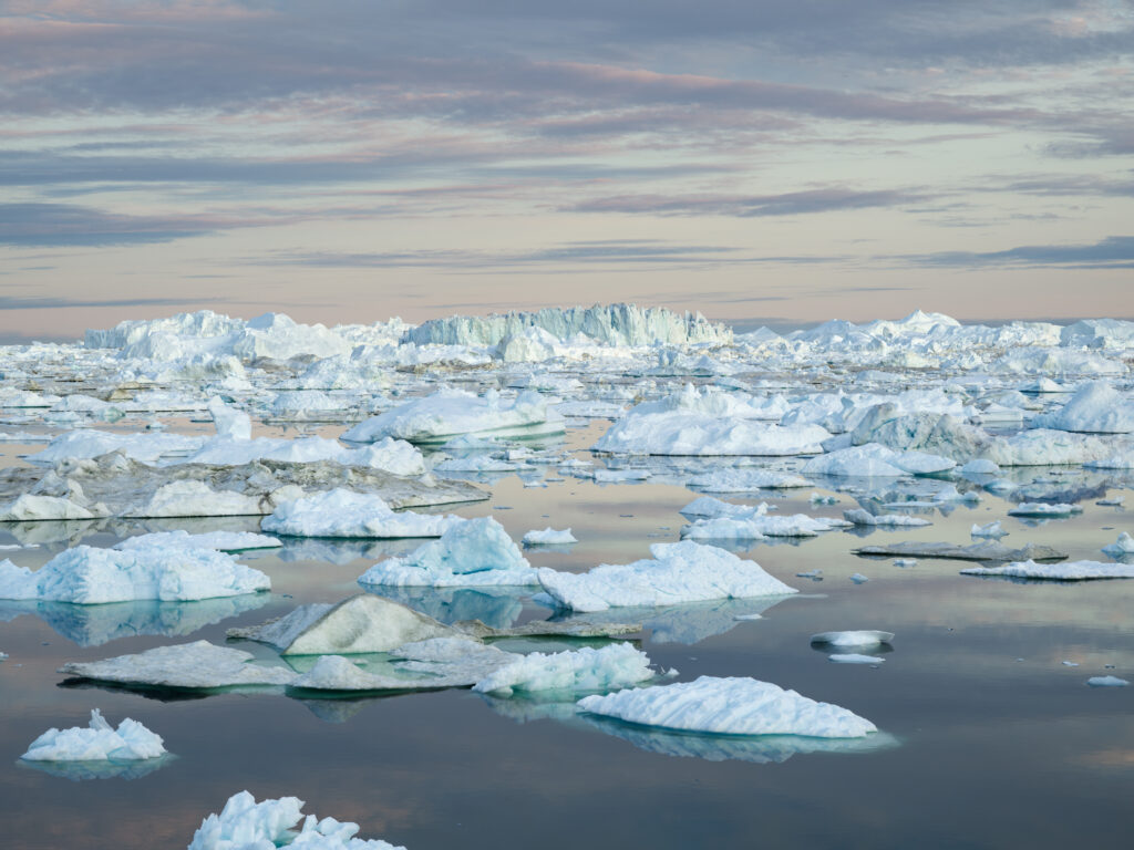 The Scent of Ice_Max Roth-Jonas Kuhn_4