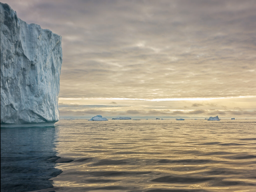 The Scent of Ice_Max Roth-Jonas Kuhn_5